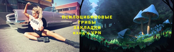 2c-b Нягань