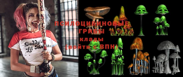 гашик Нязепетровск