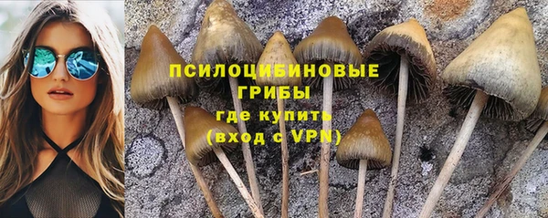 2c-b Нягань